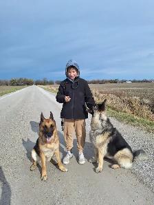 Dog Walking/Care Services - Photo 3