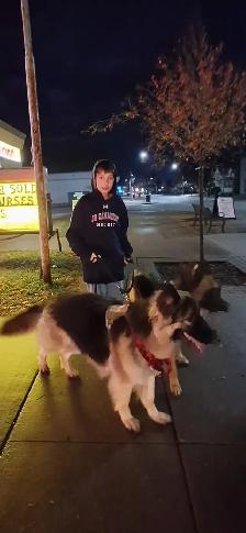 Dog Walking/Care Services - Photo 5