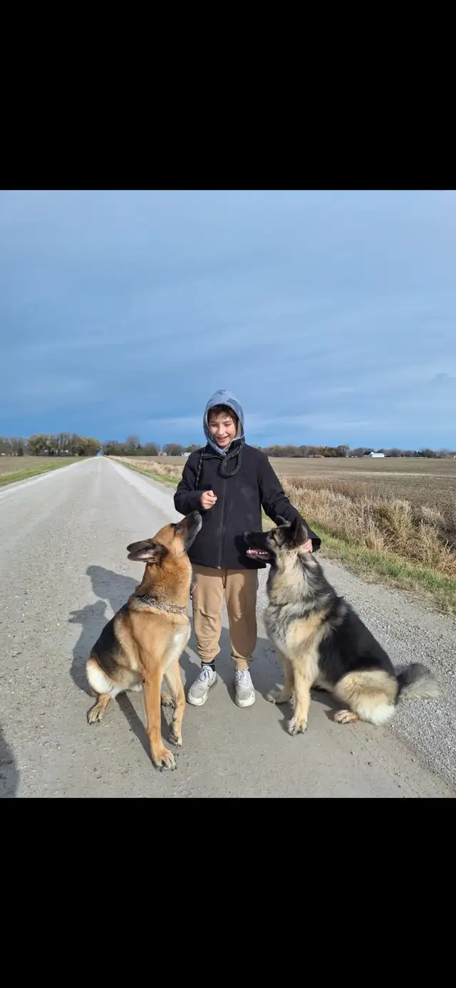 Dog Walking/Care Services - Photo 6