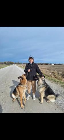 Dog Walking/Care Services - Photo 6