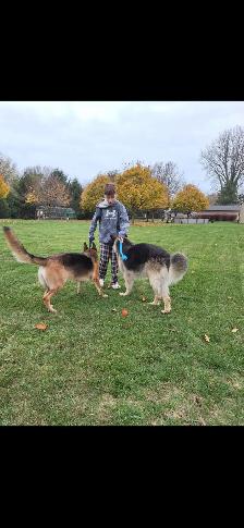 Dog Walking/Care Services - Photo 7