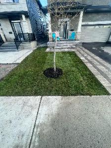 Lawn care and Landscaping - Photo 2