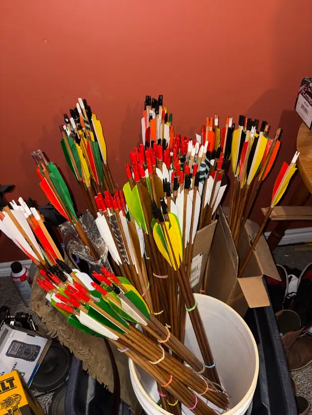 Bows and Arrows - Photo 2
