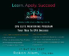 Tutor: CPA Exam Mentoring-Pass With Strategy and Confidence - Photo 3