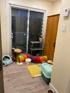 Duplex Upper Floor Apartment in Ville St-Laurent Montreal 5 1/2 - Photo 10