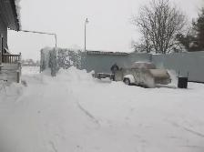 Trailer BBQ - Photo 5