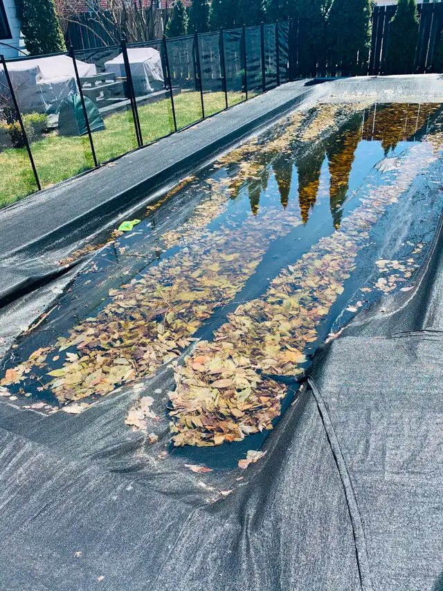 Service Professionnel Ouverture de Piscine