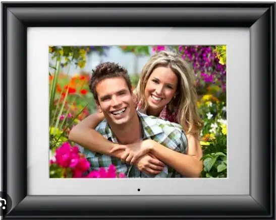 Digital Photo Frame VFD1020-12 ViewSonic 10'