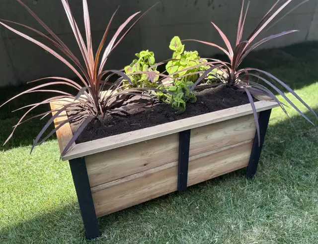 Custom Cedar Planter Boxes