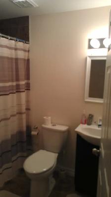 Elegant One bedroom basement apartment – Milton - Photo 4