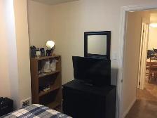 Elegant One bedroom basement apartment – Milton - Photo 9