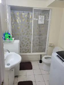 BASEMENT ROOM FOR RENT NEAR UTSC AND CENTENNIAL COLLEGE - Photo 3