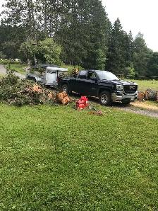Grass Cutting/Yard cleanup - Photo 3