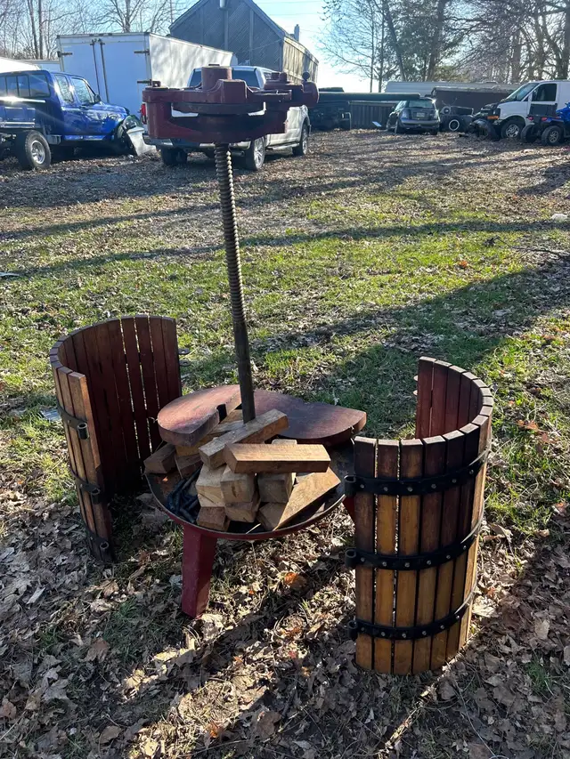 Grape press for making wine