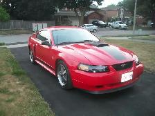 2003 FORD PREMIUM MACH1 MUSTANG - Photo 2