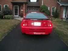 2003 FORD PREMIUM MACH1 MUSTANG - Photo 5