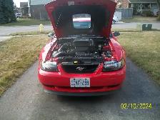 2003 FORD PREMIUM MACH1 MUSTANG - Photo 8