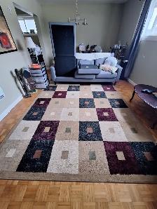 $40 7x '11' x 10 '11' Area Rug MIDLAND