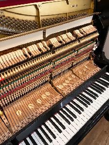 Piano tuning and repair $140