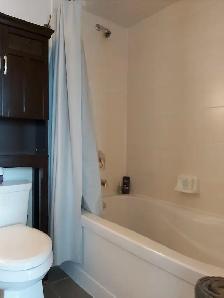 High-End Furnished Condo for Rent - Photo 8