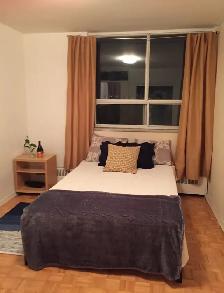 Double bed frame   mattress- solid wood