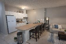Furnished 1 Bd Condo Downtown -U/G Parking, Internet - Photo 3