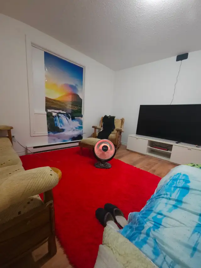 Room for rent in 2BR apartment