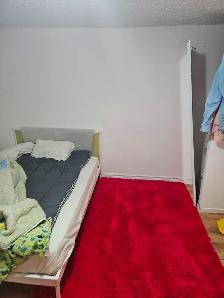 Room for rent in 2BR apartment - Photo 2