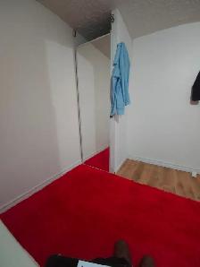 Room for rent in 2BR apartment - Photo 8