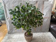 Fake 4 foot tree…ONLY $30