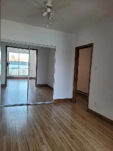 Grand 3 1/2 avec pièce double, Ahuntsic, près du métro Sauvé - Photo 2