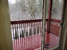 ONE BEDROOM APARTMENT FOR RENT MORNING SIDE AND MCNICOLL $1675 - Photo 6