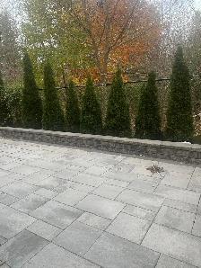 ONE BEDROOM APARTMENT FOR RENT MORNING SIDE AND MCNICOLL $1675 - Photo 9