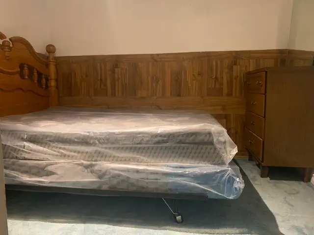 One bedroom basement ensuite fully furnished available May 1st - Photo 6