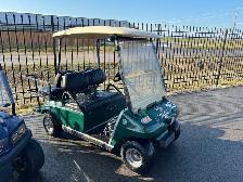 2002 Club Car DS 48v Golf Cart
