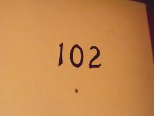 Clean and modern Picton 1 Bedroom - Photo 3