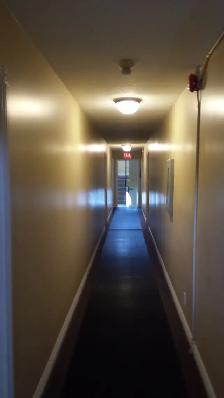 Clean and modern Picton 1 Bedroom - Photo 4