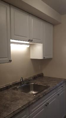 Clean and modern Picton 1 Bedroom - Photo 6