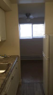 Clean and modern Picton 1 Bedroom - Photo 7