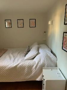 ~~ Port Credit Lakeshore area awesome basement! ~~ - Photo 4