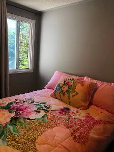 Room for rent in a shared house - Photo 4