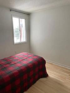 Room for rent in a shared house - Photo 5