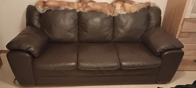 Leather couch