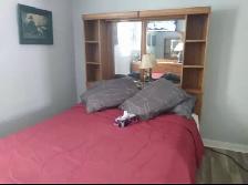 Room for Rent - Photo 4