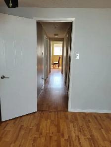 1 shared bedroom - Photo 3