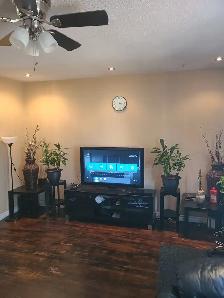 ODSP AND OW ACCEPTED sharing room with roomate available now - Photo 6