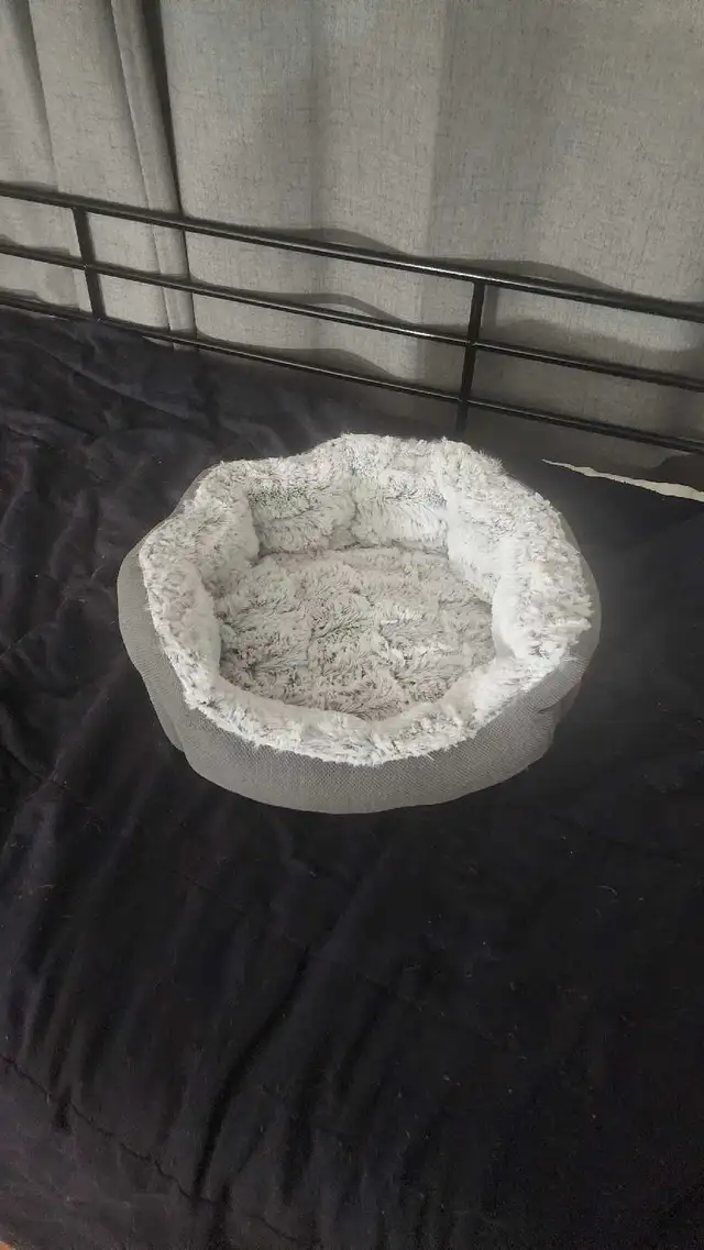 cat bed .