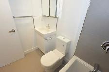 Renovated studio, Queen and Bathurst - ID 4453 - Photo 5