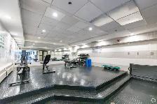 Renovated studio, Queen and Bathurst - ID 4453 - Photo 8