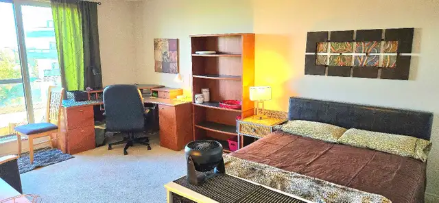 WESTERN-EXECUTIVE SHARED INCLUSIVE FURNISHED - Photo 9